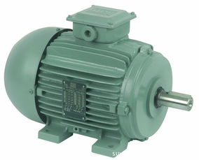 供應(yīng)WEG電機(jī)7.5kW價(jià)格解析及水泵與配件制造行業(yè)應(yīng)用